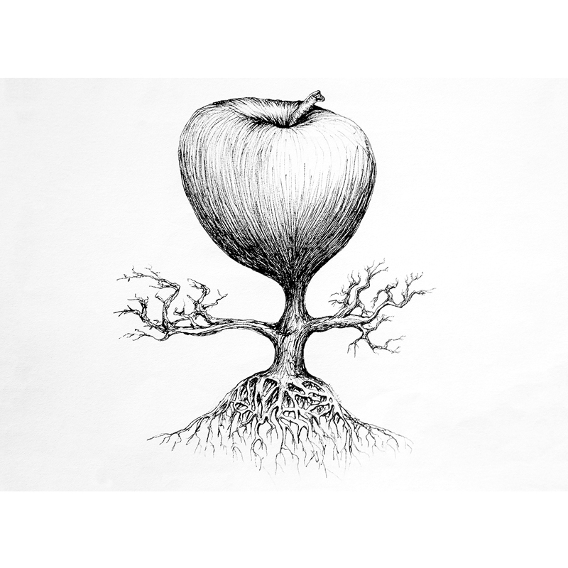 Michael Stacey Art - Apple Tree