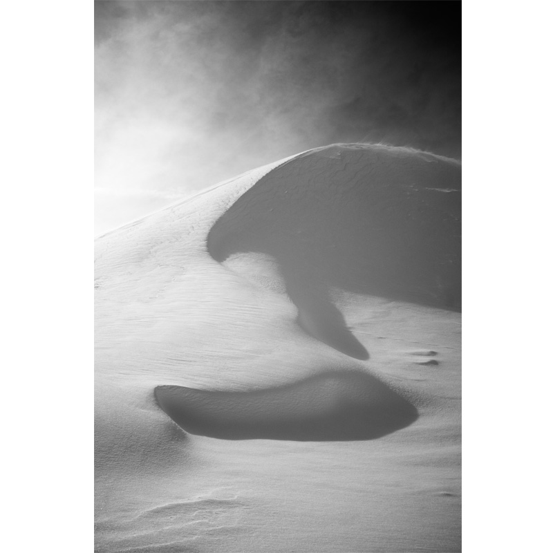 Michael Stacey Art - Snowy Curvatures - number nine